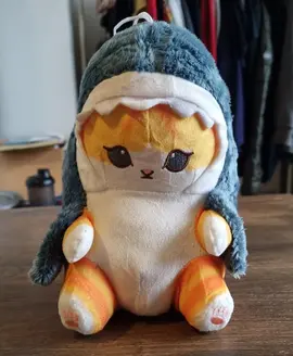 Peluche chat requin