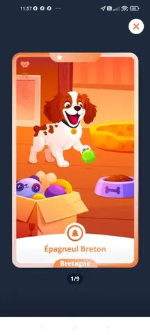 Carte WeWard - Bretagne n° 1