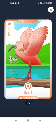 WeWard Belém do Para 1