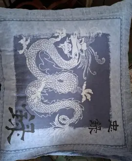 oreiller avec sa taie + 1 de rechange