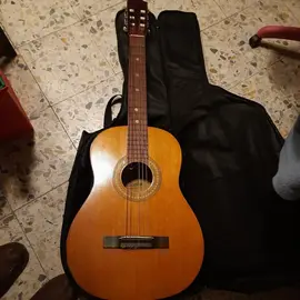 Guitare classique adulte