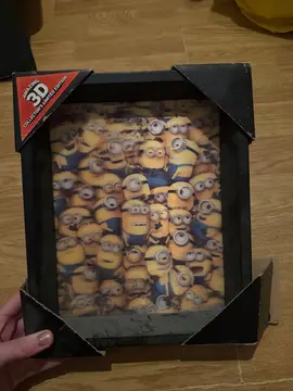 cadre minions 3D