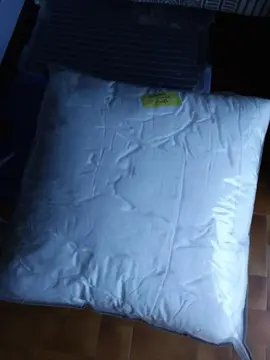 2 oreillers neufs 63×63