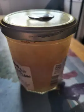 grains de kefir de fruits