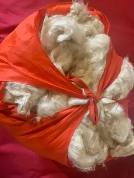 Fibre végétale de rembourrage