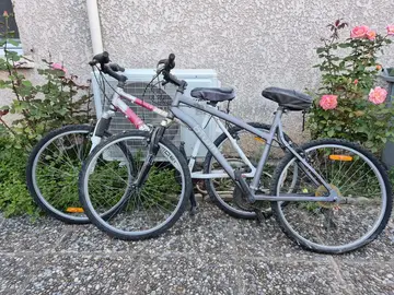 Vélos à retaper
