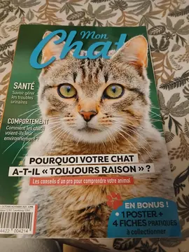 magazine sur les chats