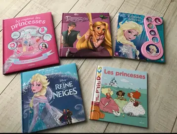 livres princesse reine des neiges raiponce