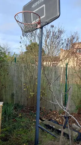 Panier de basket sur pied