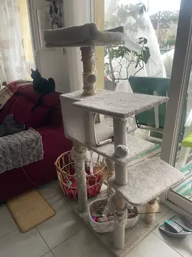 arbre à chats