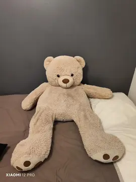 Ours en peluche géant