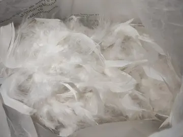 3 guirlandes de plumes blanches pour Noël