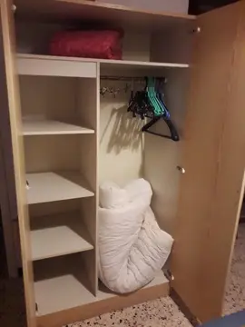 armoire avec penderie en bois