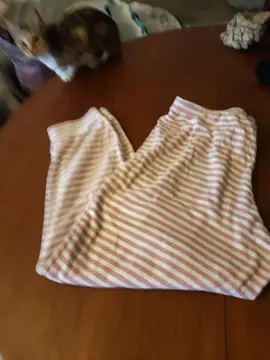 pantalon d'intérieur femme t 44