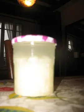 Grains frais de kéfir de fruits