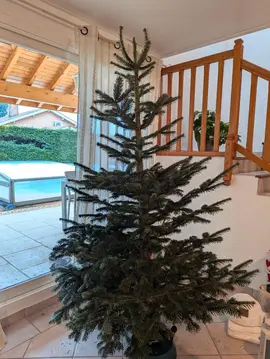 Sapin de Noël naturel