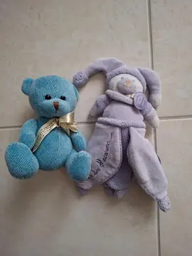 petit ours bleu et doudou