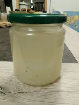 graines de Kefir
