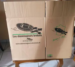 cartons démenagement
