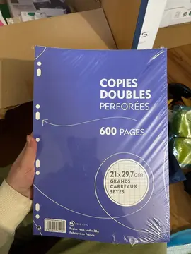600 pages copies doubles