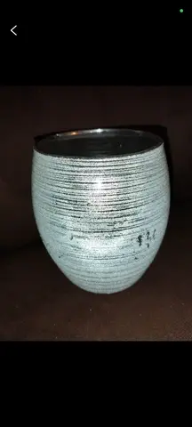 pot/ vase
