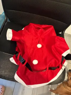 tenu de noël pour petit chien très bon état laver