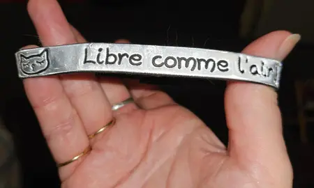 collier chat à grelot