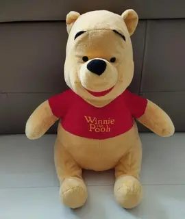 peluche winnie