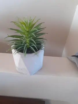 petite decoration fausse plante