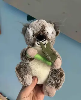 petite peluche Koala