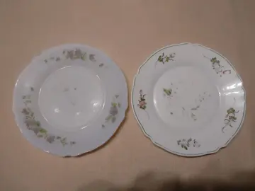 2 assiettes plates Arcopal