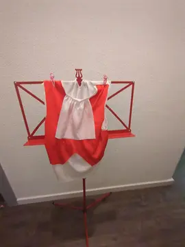 t-shirt déguisement