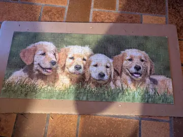 Puzzle chiens 200 pièces