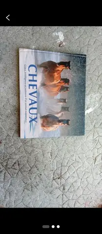 livre sur les chevaux