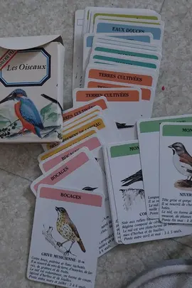 cartes oiseaux