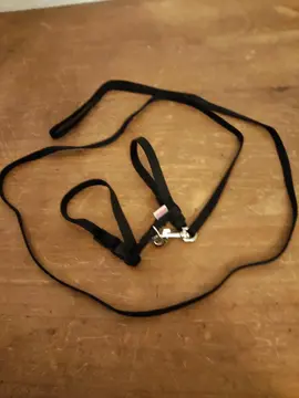 animaux... laisse et harnais... neuf