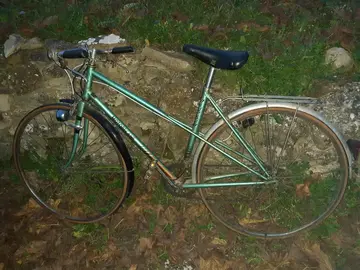 plusieurs vélo adulte