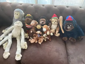 lot peluches singe