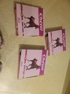 Passion du cheval et de l'équitation