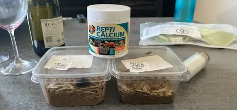 Donne repti calcium et vers de farine