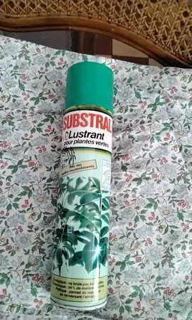 lustrant pour plantes vertes.