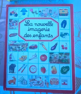 GRAND LIVRE IMAGERIE ET DICTIONNAIRE