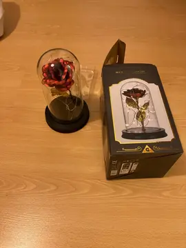 lampe rose sous cloche