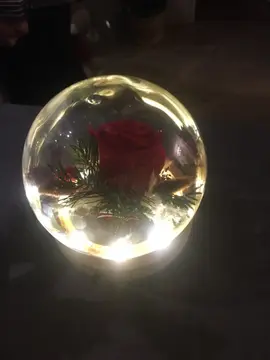 cirque de noël : une entrée pour 4 personnes