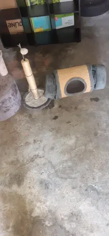 3 éléments pour chat