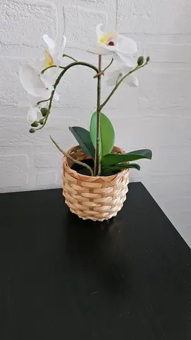 orchidée artificielle