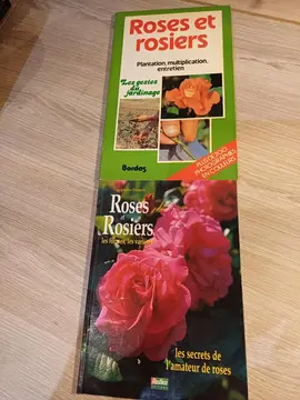 2 livres pour tout comprendre sur les osiers