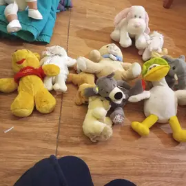 nounours de tout sorte