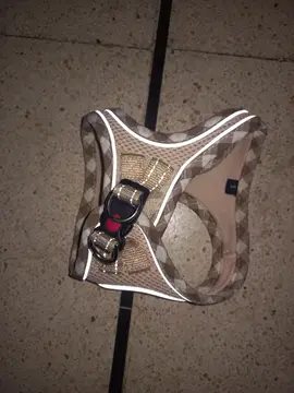 Harnais petit chien ou chat