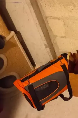 sac de transport pour chat